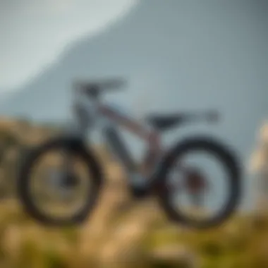 Sduro electric bike on a scenic trail