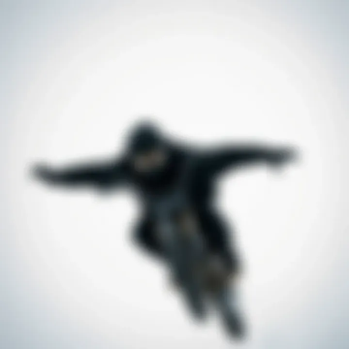 Exploring the Significance of Quality Black Hoodies in Extreme Sports Summary