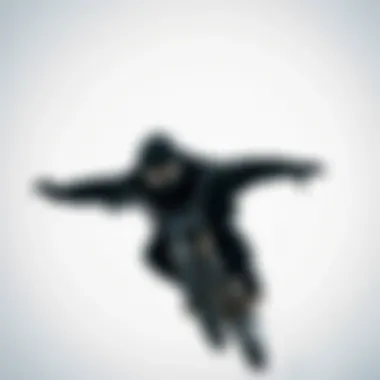 Exploring the Significance of Quality Black Hoodies in Extreme Sports Summary Exploring the Significance of Quality Black Hoodies in Extreme Sports Summary