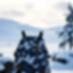 Snow camo bibs in a winter landscape