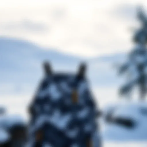 Snow camo bibs in a winter landscape