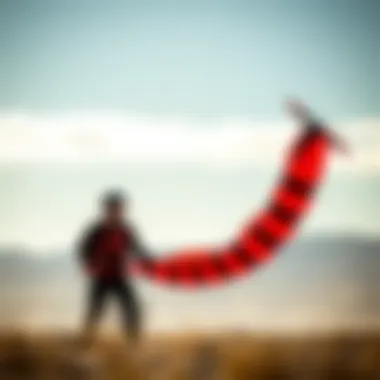 Notable Exploring the Utility of Portable Windsocks in Extreme Sports Notable Exploring the Utility of Portable Windsocks in Extreme Sports