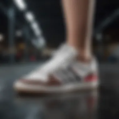 Exploring the Womens Adidas Forum 84: An In-Depth Examination Summary Exploring the Womens Adidas Forum 84: An In-Depth Examination Summary