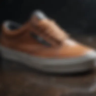 Close-up of Waterproof Technology in Vans MTE Shoes Close-up of the waterproof technology in Vans MTE shoes.