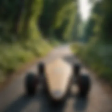 A scenic view of a longboarding trail surrounded by nature.