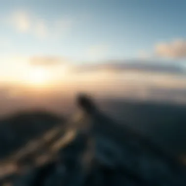 Comparative Analysis of Grey Green Lenses Comparison of grey green lenses against other colors