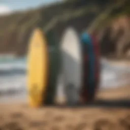 A selection of hard surf racks displayed against a vibrant beach backdrop