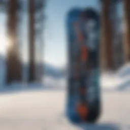 Different types of snowboards showcasing various shapes and styles