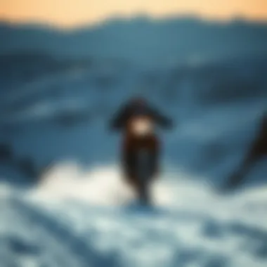 In-Depth Analysis of the Prolite Rhino Travel Bag for Extreme Sports Summary In-Depth Analysis of the Prolite Rhino Travel Bag for Extreme Sports Summary