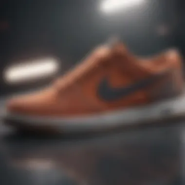 Historical timeline of Nike SB Check Solarsoft development