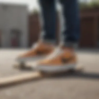 A pair of Nike SB Check Solarsoft sneakers on a skateboard