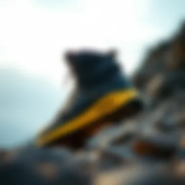 Tips for maintaining the Osiris D3S shoe for longevity