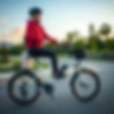 Versatile Riding Experience with the Pedego Cruiser Pedego Cruiser Electric Bike in a scenic outdoor setting demonstrating its versatility
