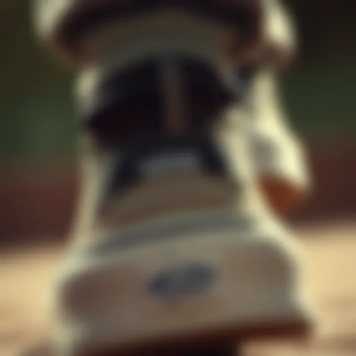 Close-up of Vans sneaker features highlighting grip and support