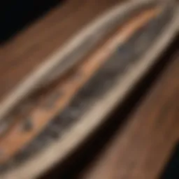 Close-up of a unique fingerboard showcasing intricate designs