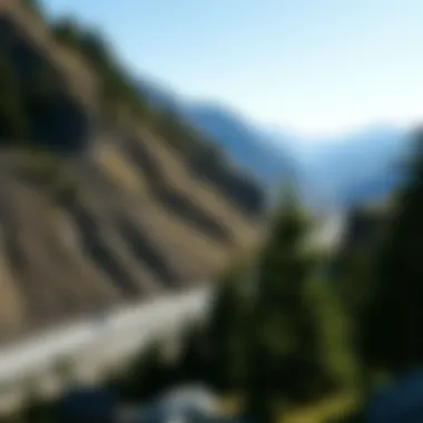 Clarity in Nature: The Advantage of Grey Green Lenses A scenic view showcasing the clarity provided by grey green lenses