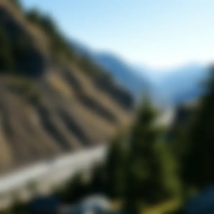 Clarity in Nature: The Advantage of Grey Green Lenses A scenic view showcasing the clarity provided by grey green lenses