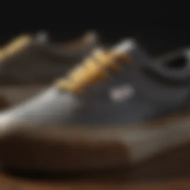 Essential Maintenance Tips for Simpson Vans Shoes Close-up of maintenance techniques for Simpson Vans shoes