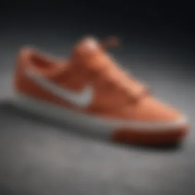 Close-up of Nike SB sneakers on a skateboard