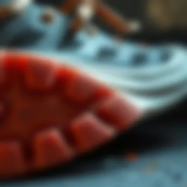 Close-up of Stefan Janoski Max shoe materials