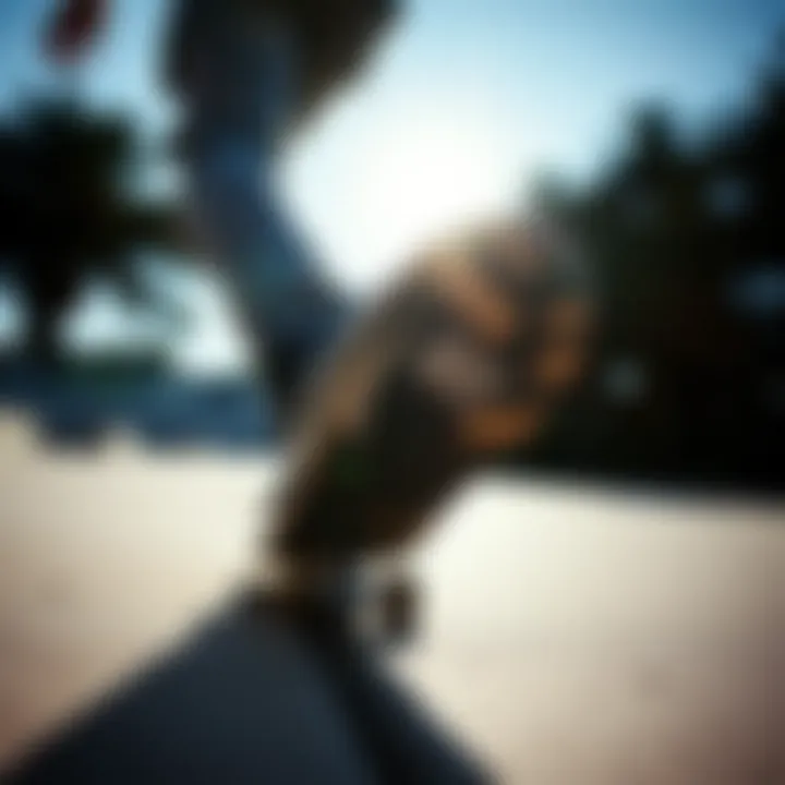 Skateboarder using Stefan Janoski Max shoes