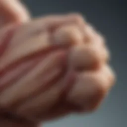 Anatomy of the thumb showcasing muscles and joints