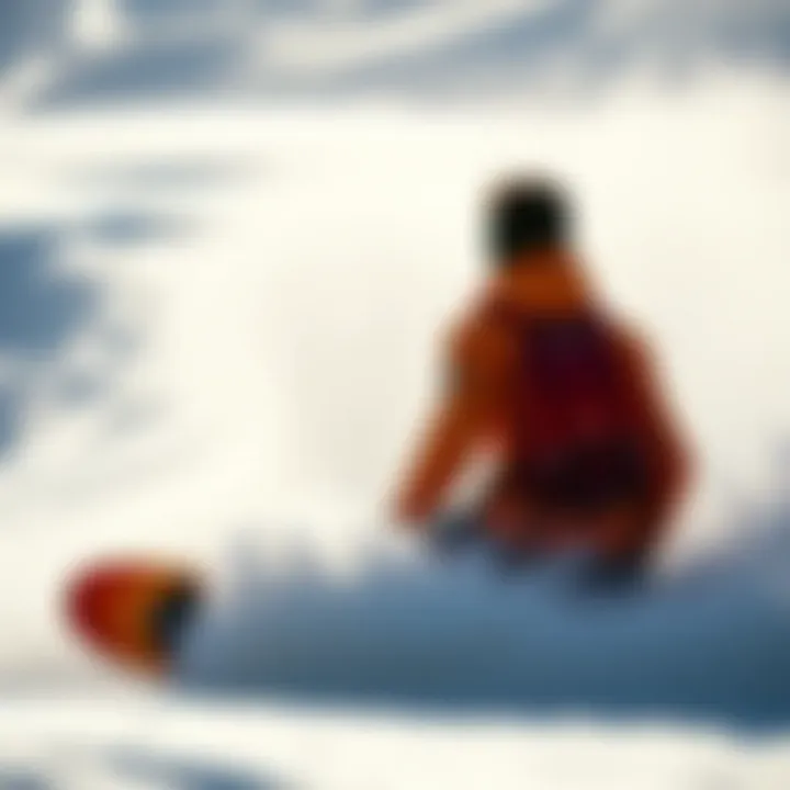 Key ingredients in Sun Bum Skin Care products