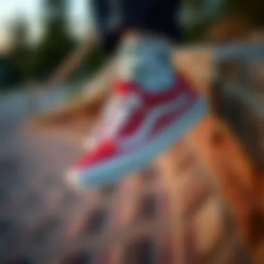 The Appeal of Affordable Vans Shoes in Extreme Sports Summary The Appeal of Affordable Vans Shoes in Extreme Sports Summary