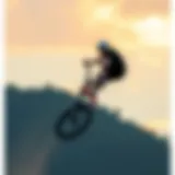 The Art and Science of Extreme Pogo Introduction