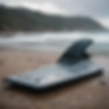 Maintenance Tips for Bodyboard Fins Visual guide illustrating maintenance tips for bodyboard fins