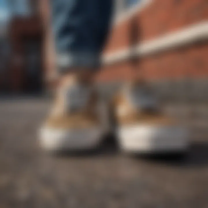 Close-up of Vans leopard print shoes in an urban setting