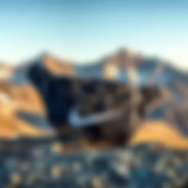 Nike Fanny Pack: Style Meets Function in Nature Stylish and functional Nike fanny pack displayed on a scenic mountain backdrop