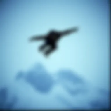 The Influence of Black Champion Pullovers in Extreme Sports Culture Introduction