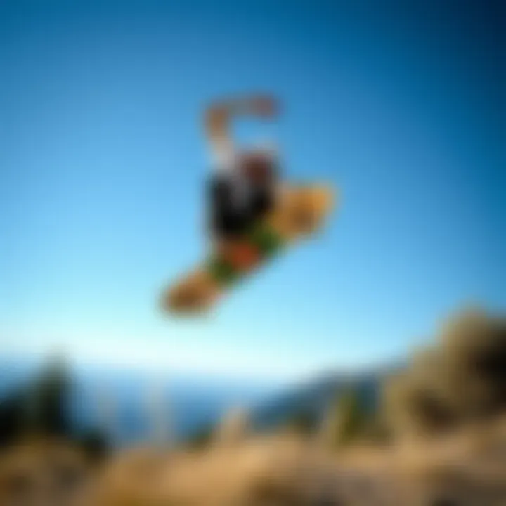 Notable The Landscape of Santa Cruz Custom Skateboards