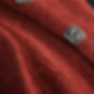 Close-up of the fabric texture and design elements of the red champion pullover.