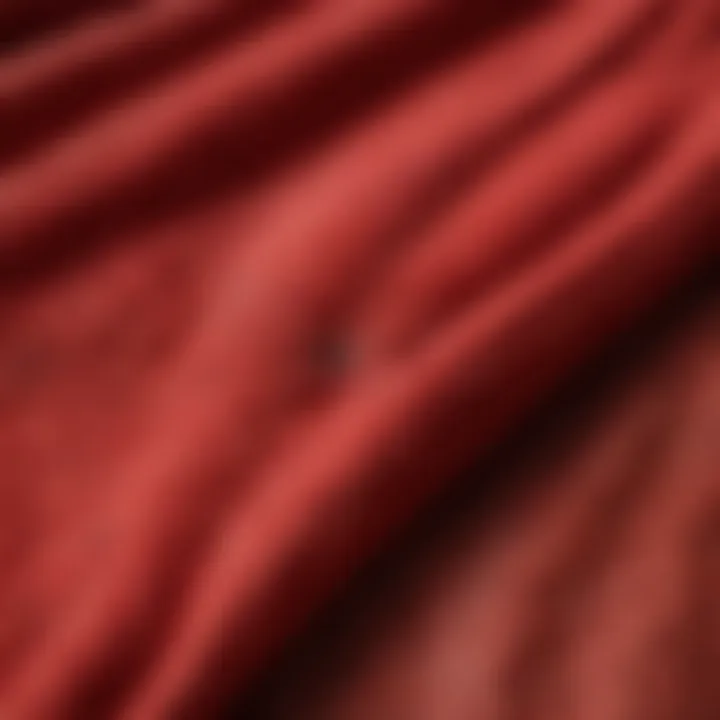 Close-up of red fleece sweatpants showcasing fabric texture and stitching.