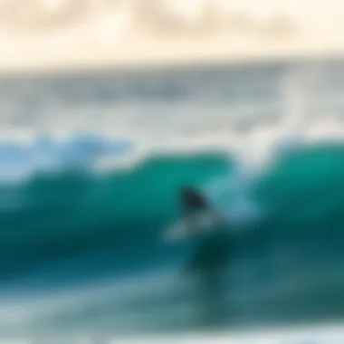 A surfer riding a Torq surfboard in action on the waves