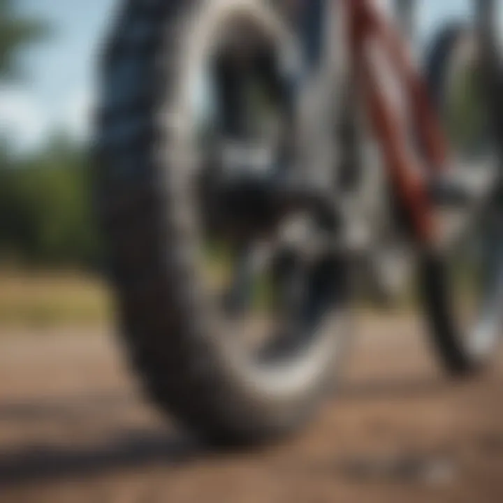 Variety of bicycle chains displayed