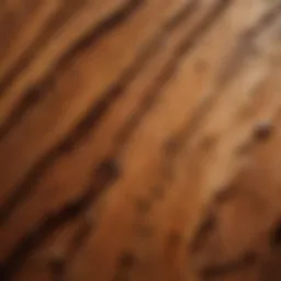 Close-up view of the unique grain patterns of glass beech wood
