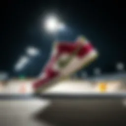 Understanding Nike SB Size 6: A Comprehensive Guide for Extreme Sports Enthusiasts Introduction