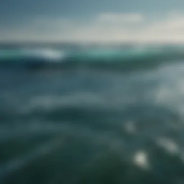 The Spectrum of Ocean Colors An expansive view of the ocean showcasing different shades of blue and green.