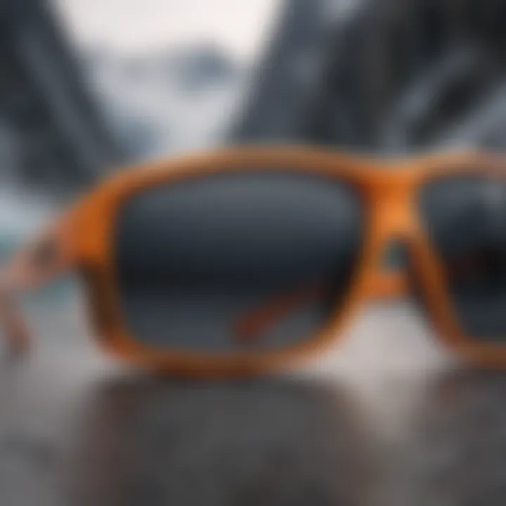 Diverse brands of polar sunglasses displayed