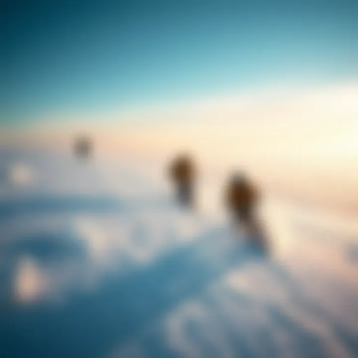 Notable Understanding the Ice Out Chain: A Comprehensive Exploration