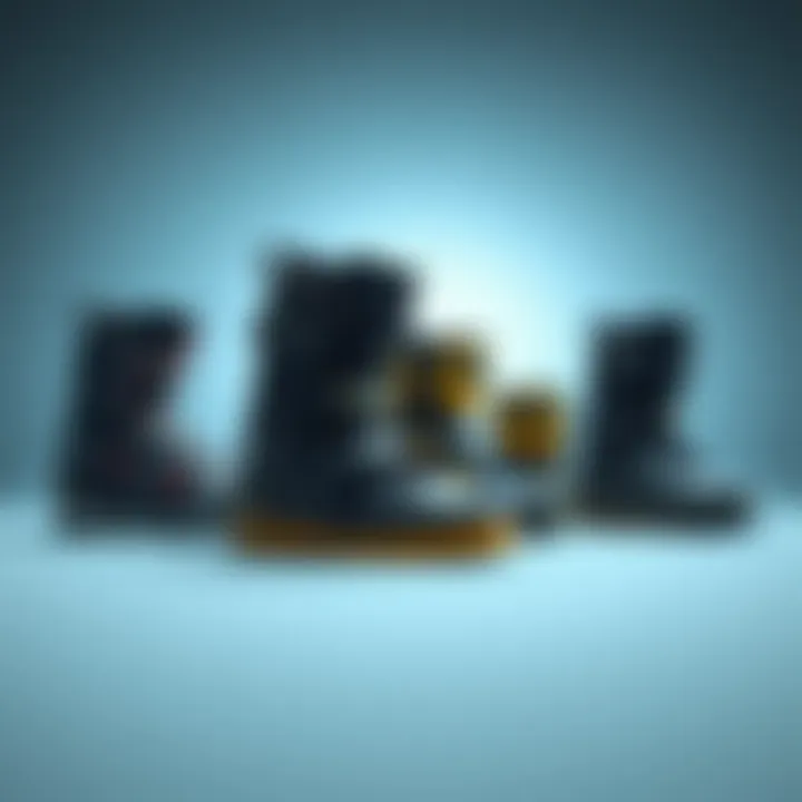 Variety of Wakeboard Boots Available Diverse range of wakeboard boots displayed