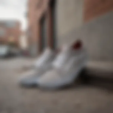 Vans Dove Grey shoes displayed in an urban setting, showcasing their cultural relevance.