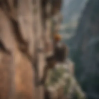 Rock climber scaling a rugged cliff face with determination.
