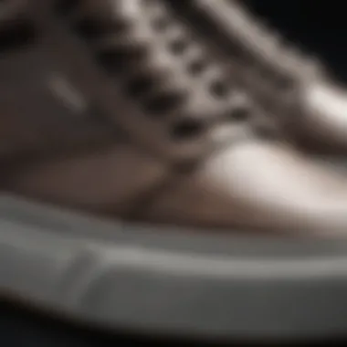 Close-up of Vans Pro shoe materials and quality