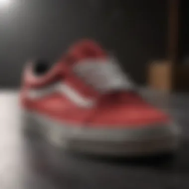 Vans Pro shoes showcasing unique design features