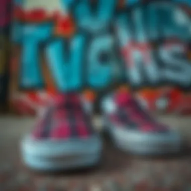 Plaid Slip-Ons with Street Art Background Close-up of plaid Vans slip-ons against a backdrop of street art.