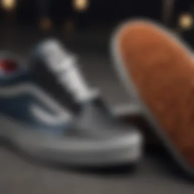 Diverse Styles of Vans Strap Shoes A collection of Vans strap shoes showcasing different styles and colors